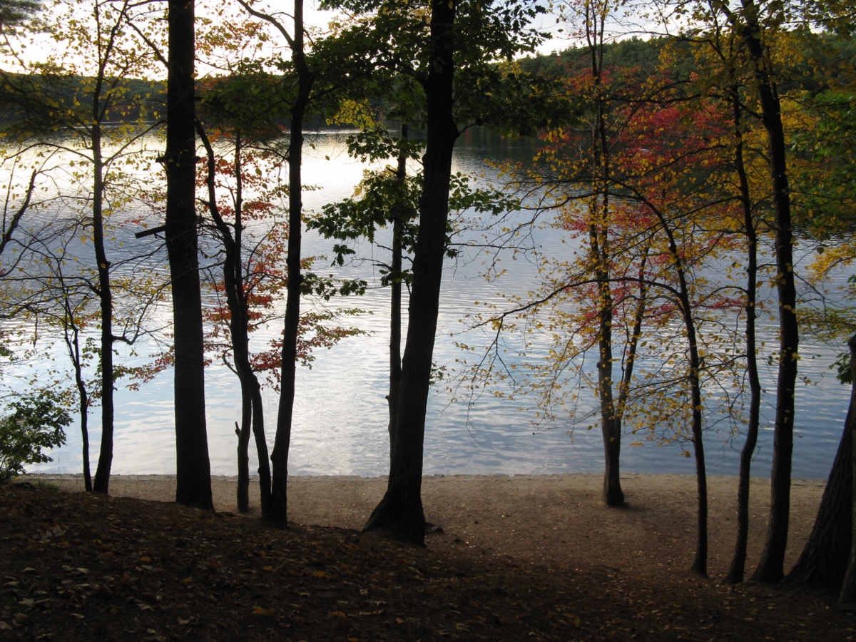 Walden Pond, Concord, Massachusetts